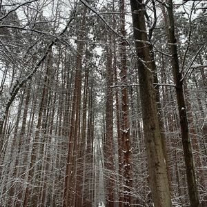 Meet your Posher, Maija